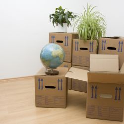 Things to Consider When Moving to Your New Office