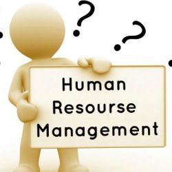 Reliable human resource management the key to a thriving business